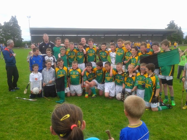 Thurles Gaels u14 Football County Champions 2014