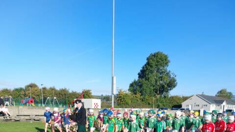 Mick Prior U11 Hurling Tournament in Borrisoleigh