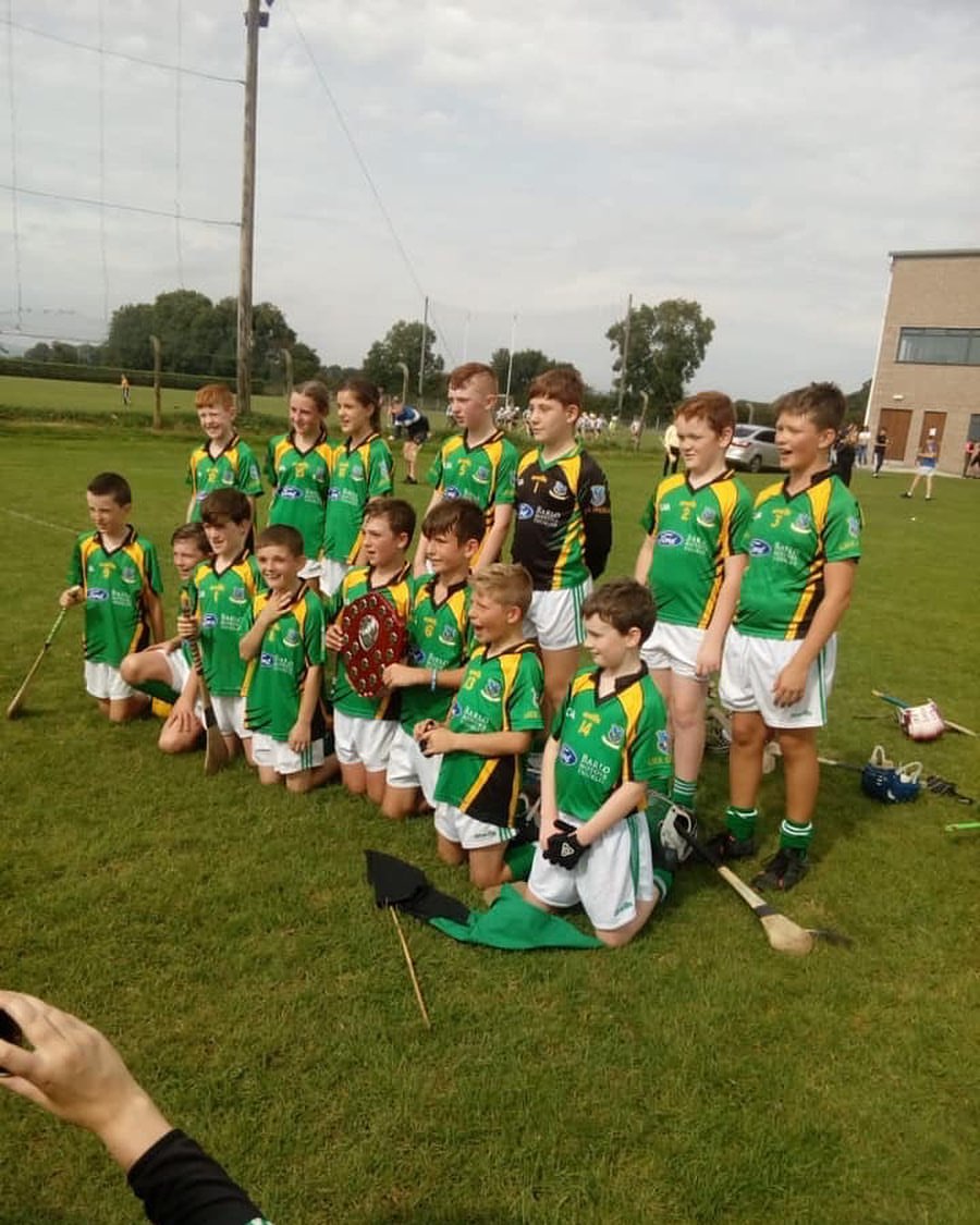 Thurles Gaels u12 County Hurling Champions 2019