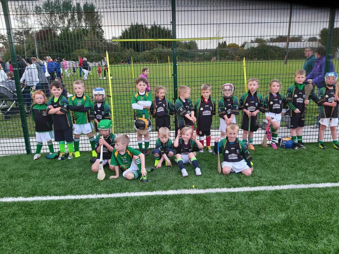 Thurles Gaels u6s 2019