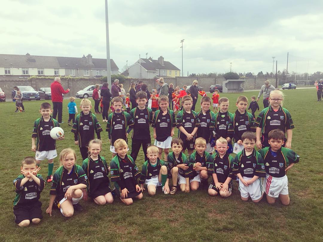 Thurles Gaels u8s 2019 2