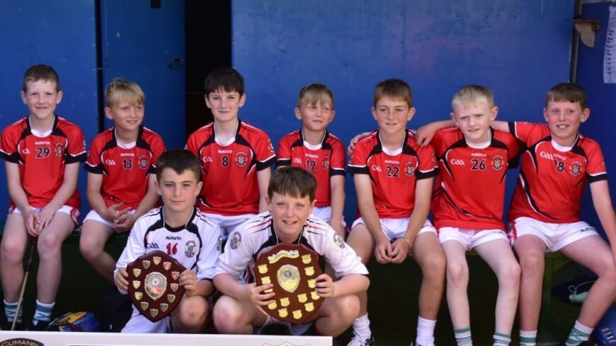 Congratulations to Scoil Ailbhe u11s winning 2 County Finals