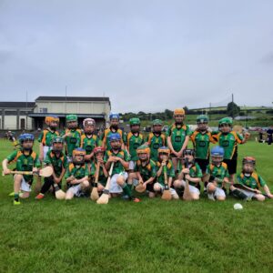 Thurles Gaels u7 blitz in Moneygall