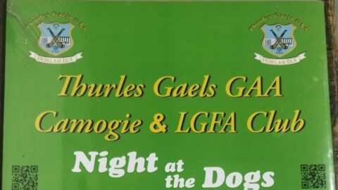 Night at the Dogs!